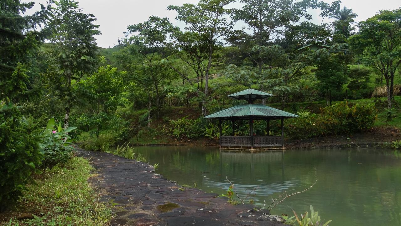 Malekus Mountain Lodge Aguas Claras  Exterior foto